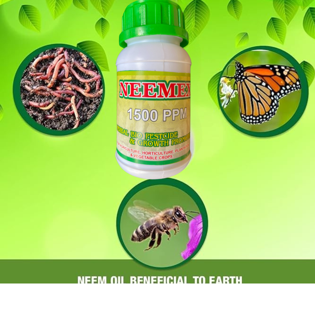 NEEMEX Organic Neem Oil for Plants – Cold Pressed & Unrefined – Natural Pest Repellent – Controls Aphids, Mites, Whiteflies – Add 250ML  Indoor & Outdoor Use – 1500 PPM