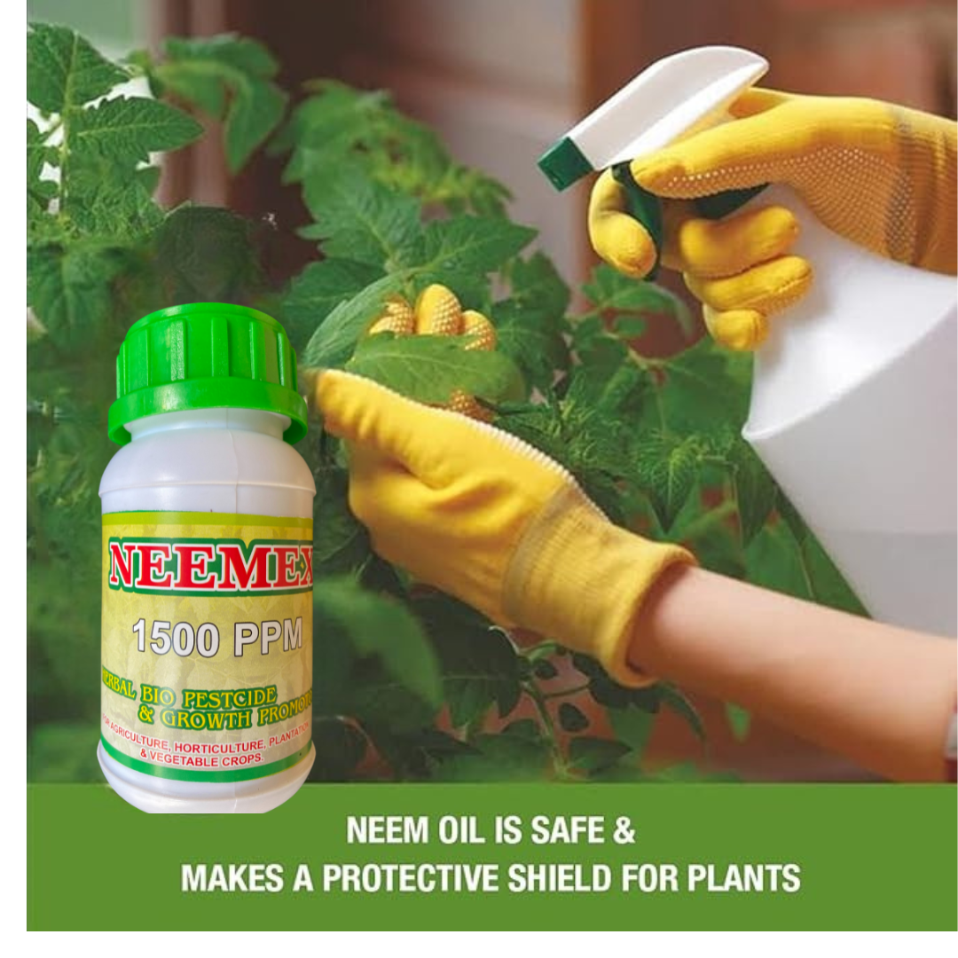 NEEMEX Organic Neem Oil for Plants – Cold Pressed & Unrefined – Natural Pest Repellent – Controls Aphids, Mites, Whiteflies – Add 250ML  Indoor & Outdoor Use – 1500 PPM