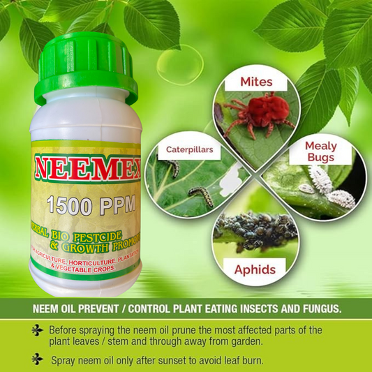 NEEMEX Organic Neem Oil for Plants – Cold Pressed & Unrefined – Natural Pest Repellent – Controls Aphids, Mites, Whiteflies – Add 250ML  Indoor & Outdoor Use – 1500 PPM