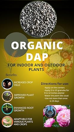 Paushak Super 100 ml with Organic Dap Plant Growth Regulator For All Crops 300 gm