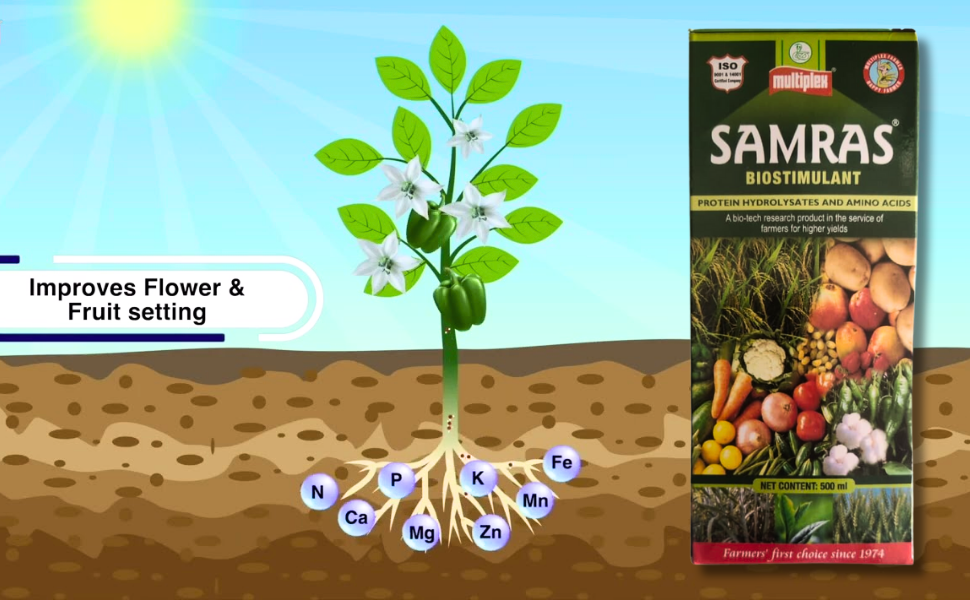 Samras plant growth promoter for all kind of plants (500 ml)