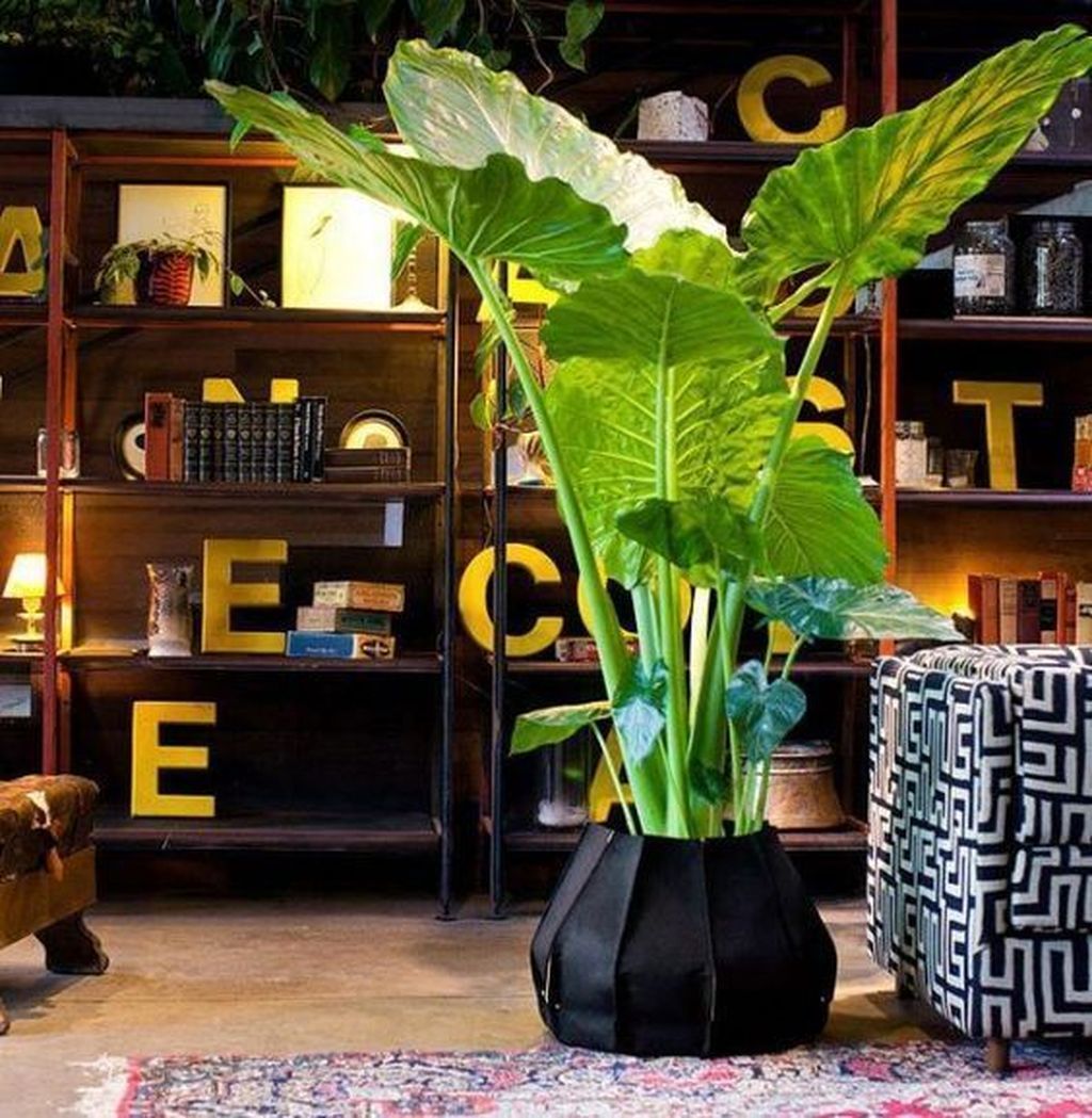 House Essentials