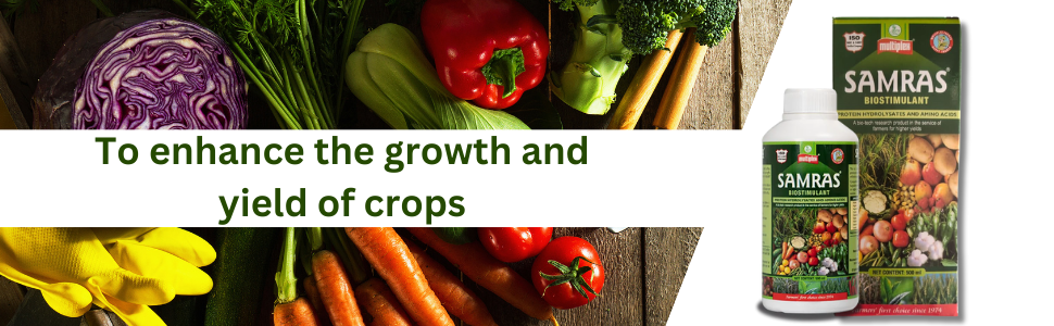 Samras plant growth promoter for all kind of plants (500 ml)